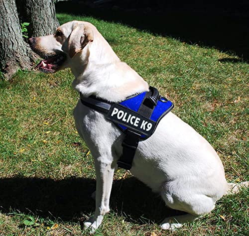 Image of 24x7 eMall Dog K9 Police Harness Dog Vest Loop Straps and Handle and Adjustable (XL- 28-38 Inch Girth, Blue)
