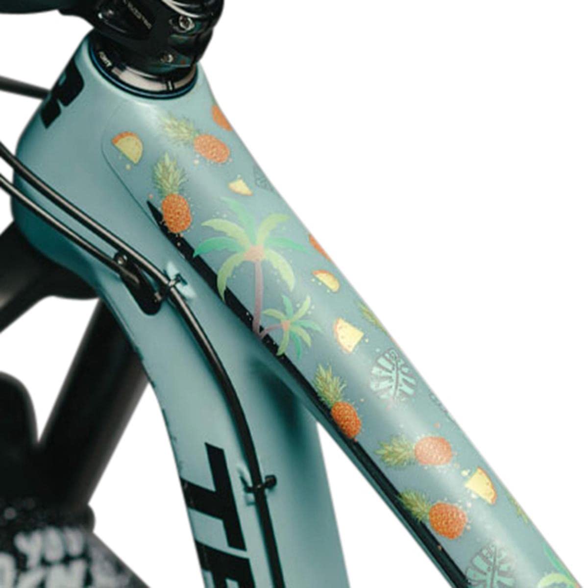 DYEDBRO Film de protection pour cadre VTT Multicolore