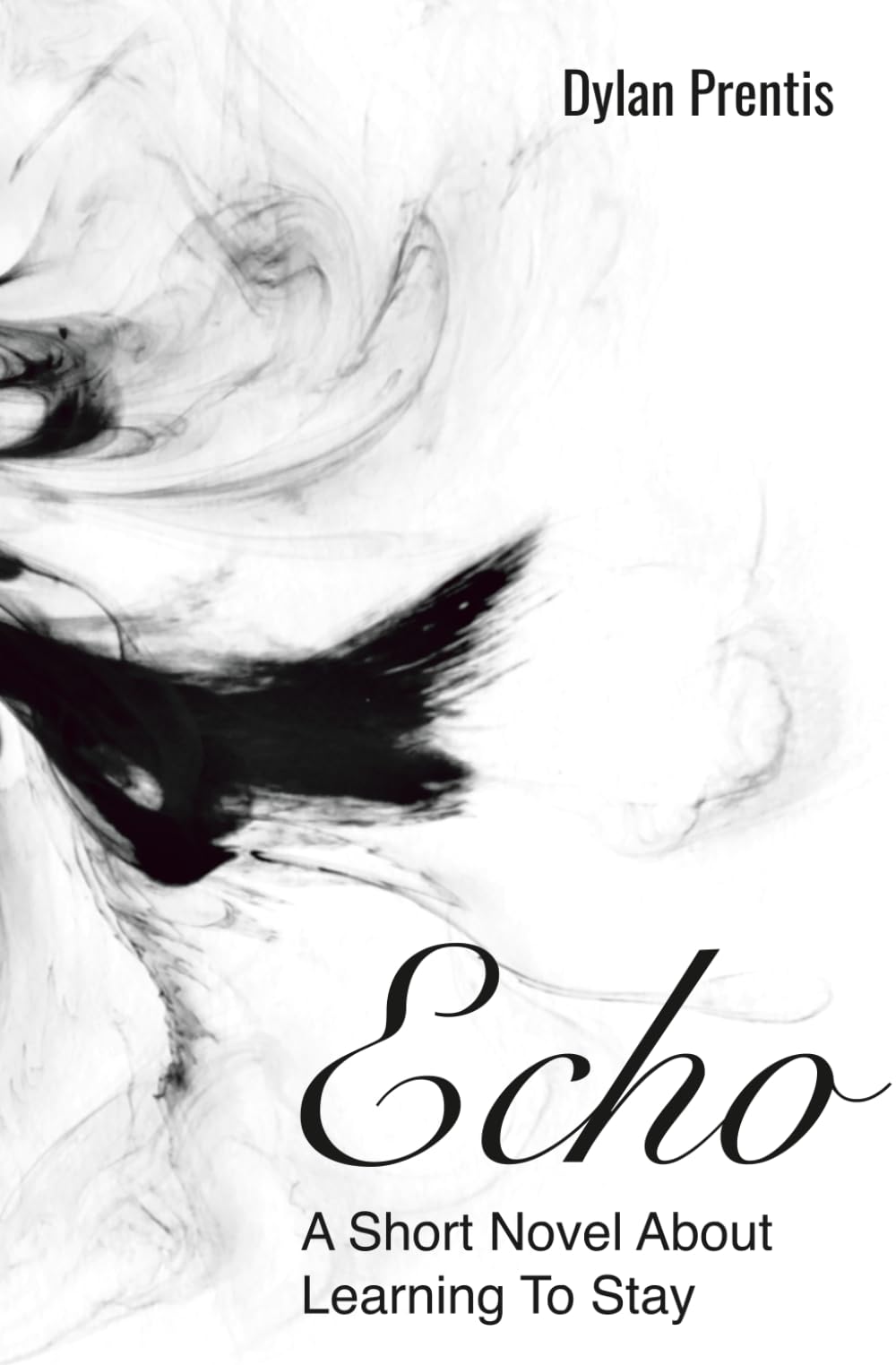 Echo: A Short Novel About Learning to Stay