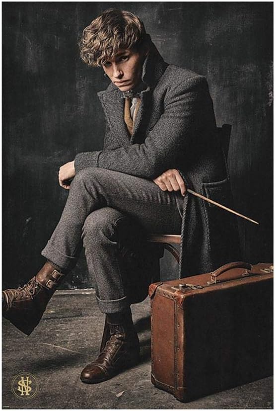 Amazon.com: Fantastic Beasts The Crimes Of Grindelwald Poster, Multi