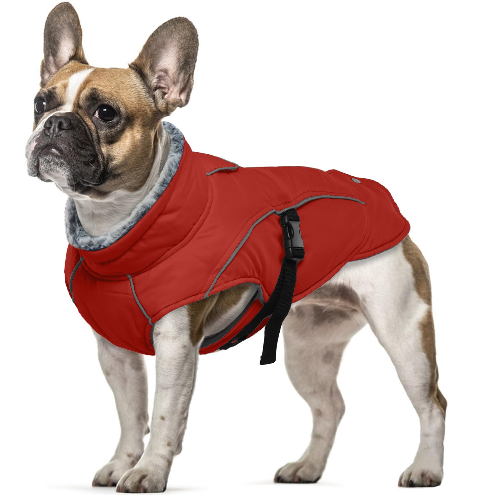 Manteau imperméable pour chien rouge S avec trou de harnais pour veste d'hiver chiot