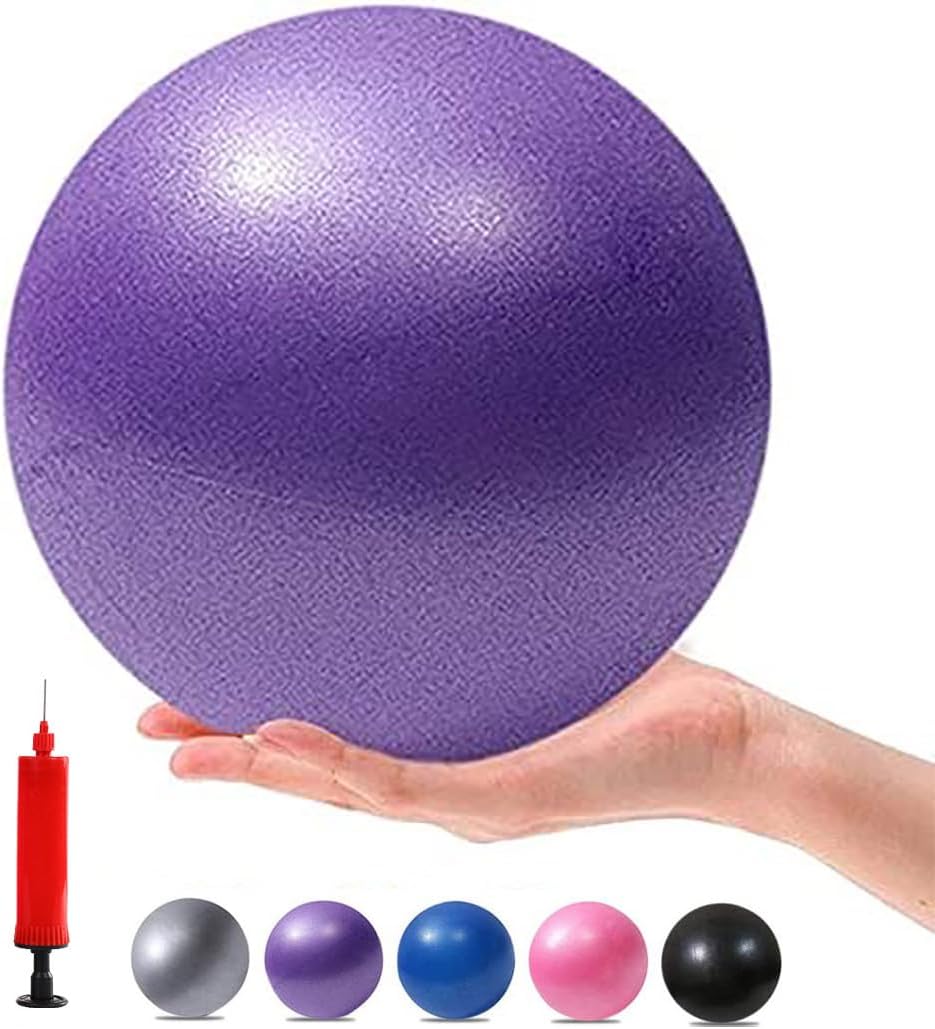 Mini Yoga Balls 6 Inch Exercise Pilates Therapy Balance Micropore Ball Barre Equipment for Home Stability Training Physical Core Training with Pump