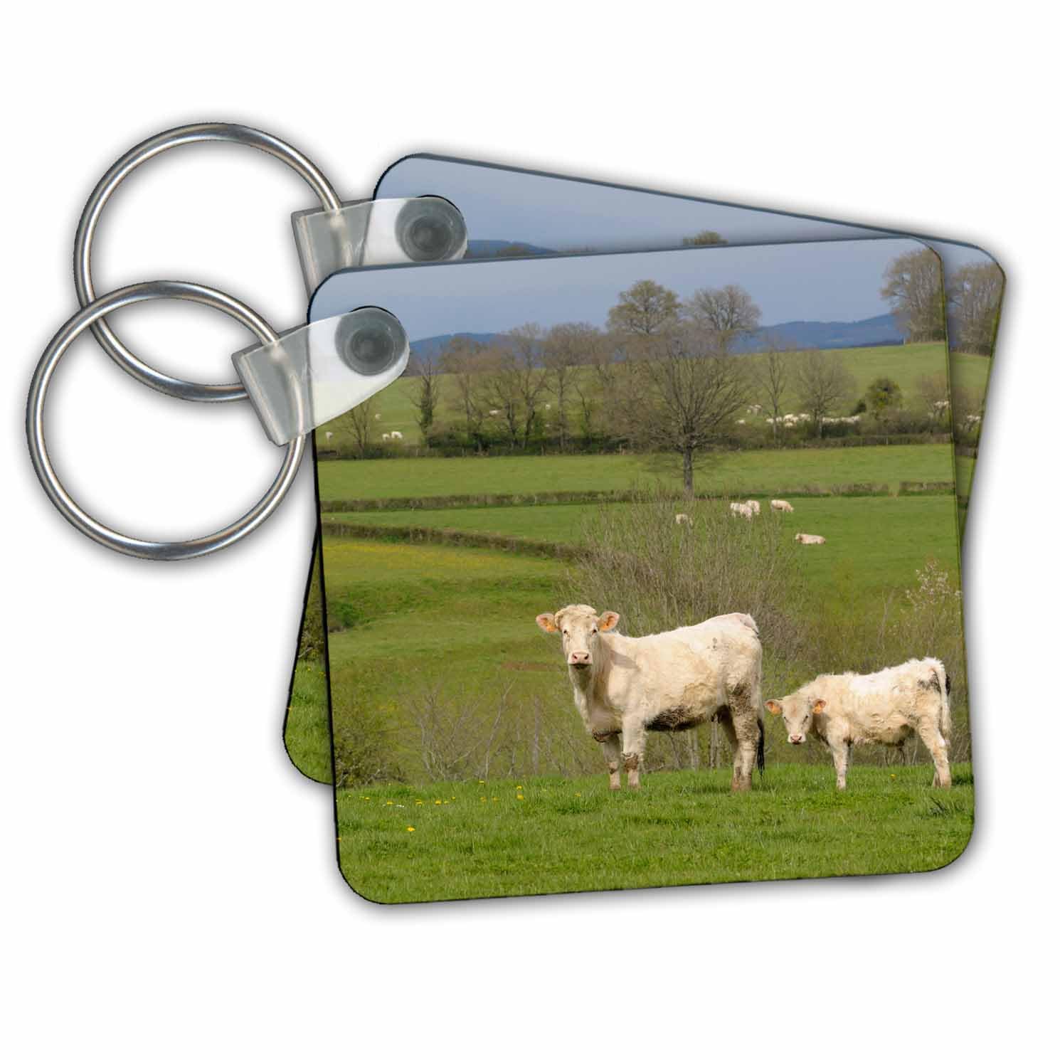 3dRoseKey Chains France, Burgundy, Nievre, Sardy-les-epiry. Cows in a farmers field (kc-227232-1)