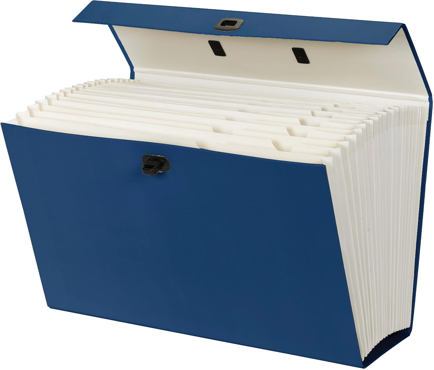 Smead Portable Expanding File Box, 19 Pockets, Blank Tabs, Printed Labels, Latch Closure, Legal Size, Blue (70806)