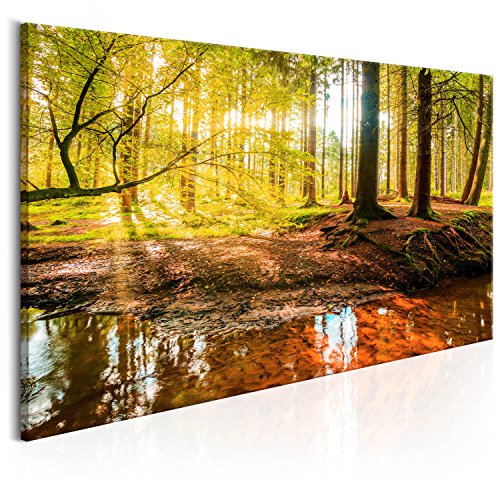 murando Impression sur toile intissee 140x70 cm 1 Piece tableau tableaux decoration murale photo image artistique photographie graphique Foret Nature Paysage c-B-0174-b-a 140x70 cm Cover