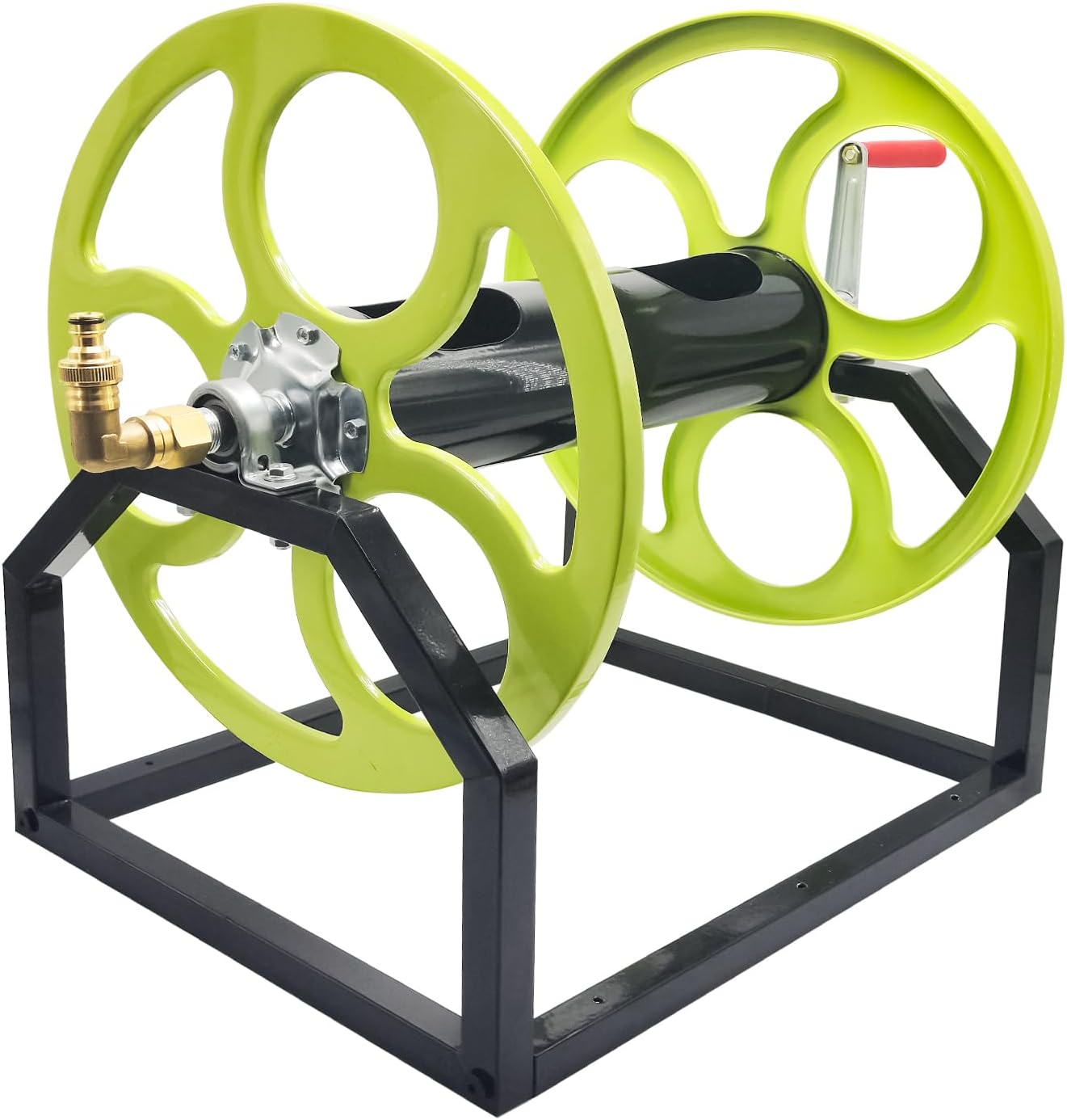 ビカクシダveitchii wild 子株ベイチーワイルド