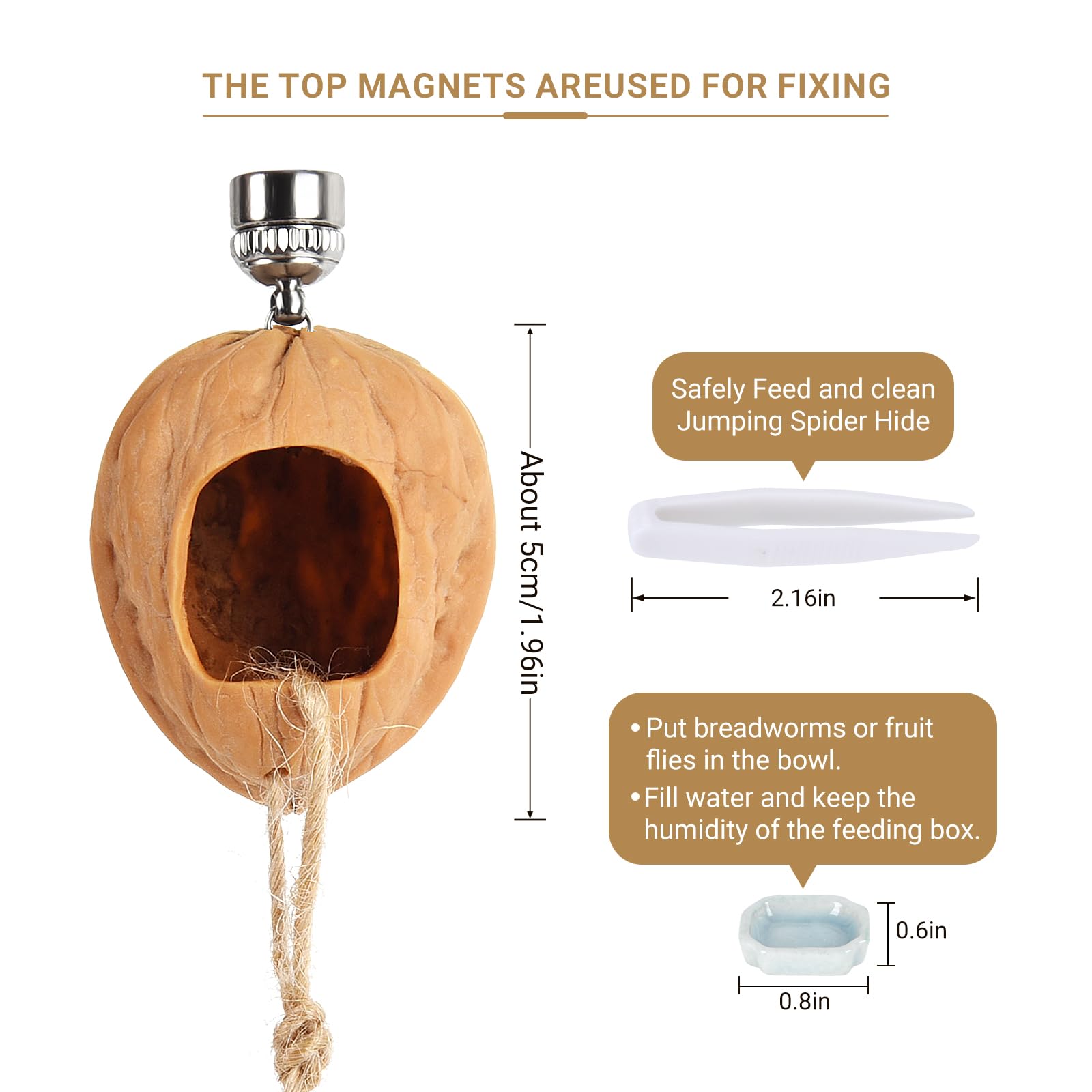 Cachette D'Araignée Sauteuse - Refuge Reptile Aimanté, Cache Boîte