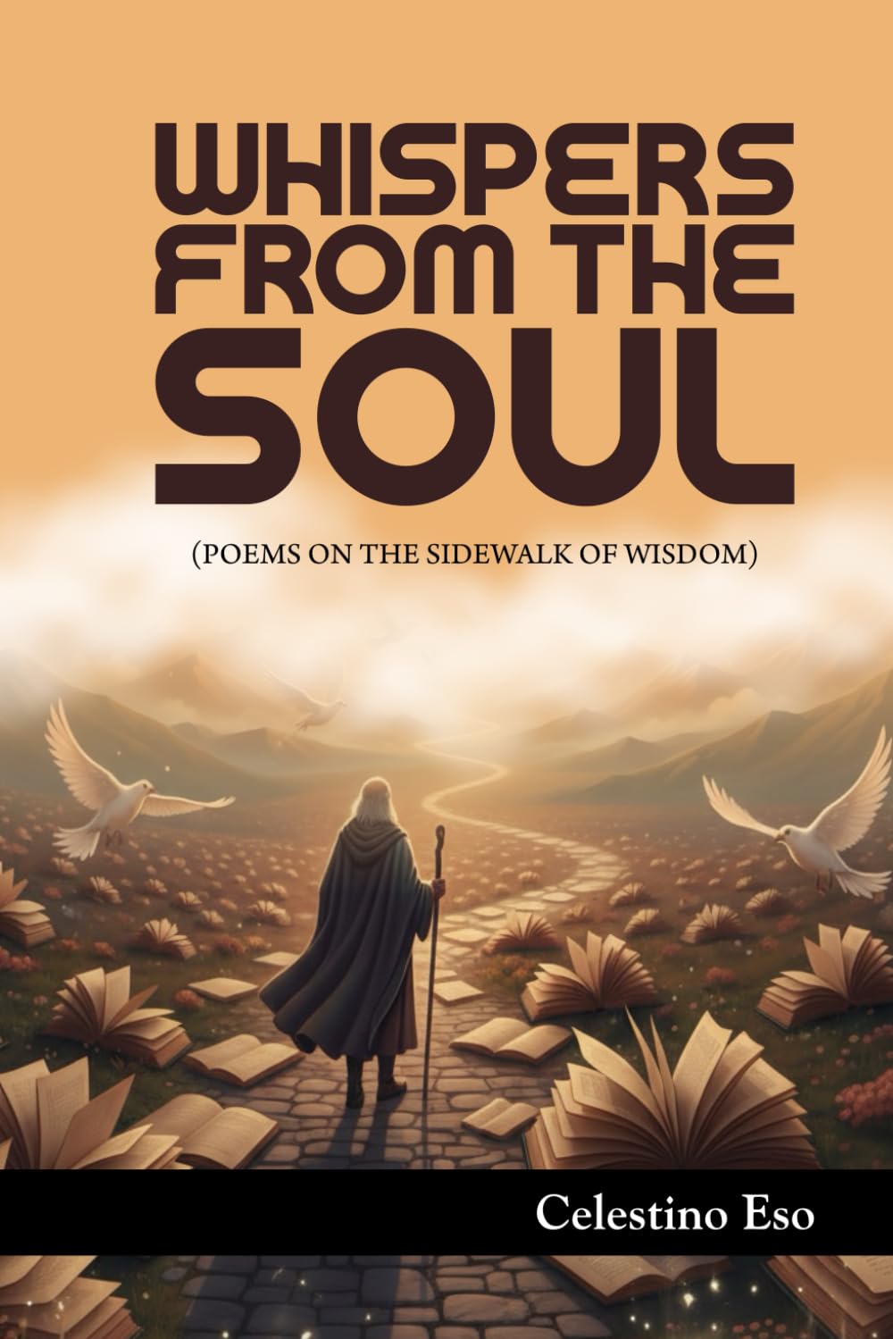 WHISPERS FROM THE SOUL: Poems On The Sidewalk Of Wisdom