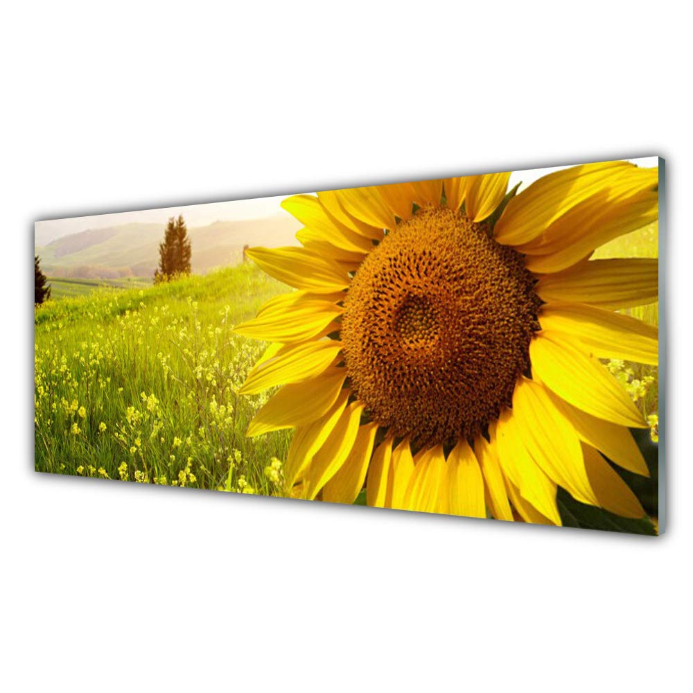 Tableau acrylique tournesol floral 125x50cm déco murale incassable facile à suspendre