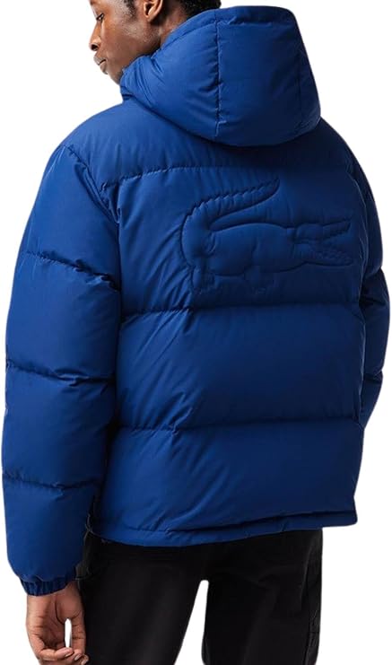 Lacoste Men Down jacket BH3522,Plain,Regular Fit