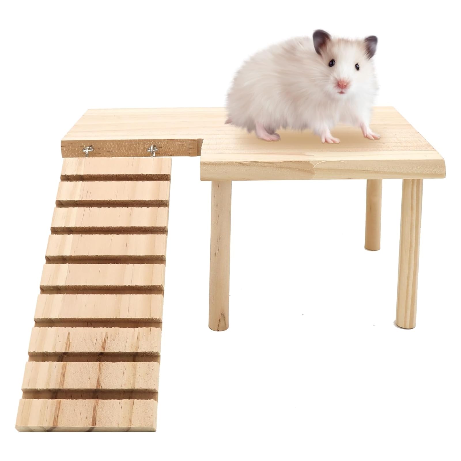 Hamster Platform