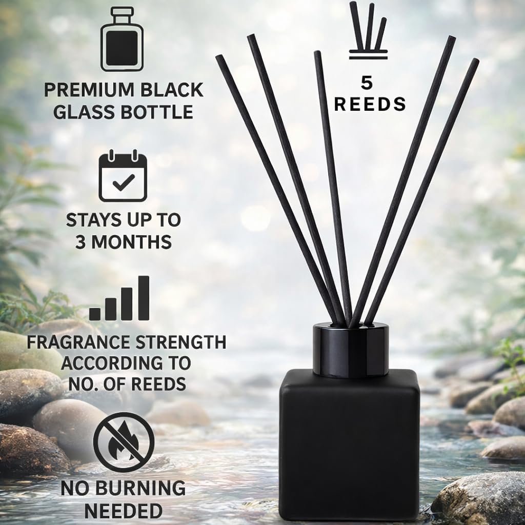 Gift Paradise® Cedarwood & Bergamot Reed Diffuser Set – Premium Home Fragrance with Black Glass Bottle & 5 Reeds – Long-Lasting Up to 3 Months – Elegant Gift