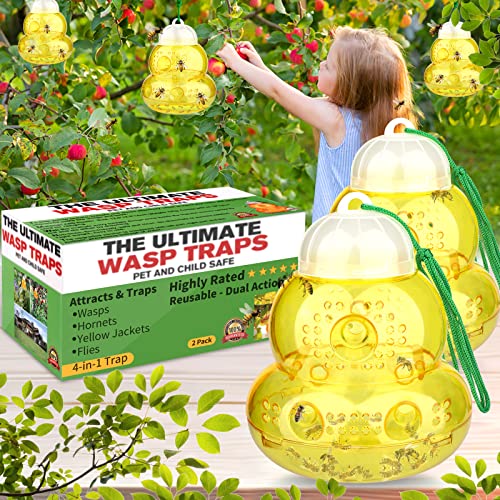 Comparison of Best Paper Wasp Traps [Experts 2023 Reviews]