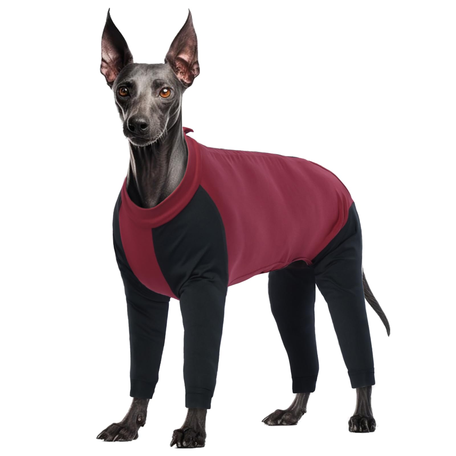 Dog Pullover, Dog Recovery Suit Long Sleeve(Red, L), Large