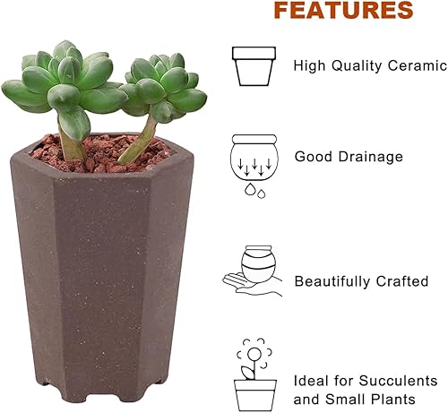 Miniatura 5 de Happy Bonsai Macetas sin esmaltar, 4 unidades, mini suculentas, 2.0 in, color natural