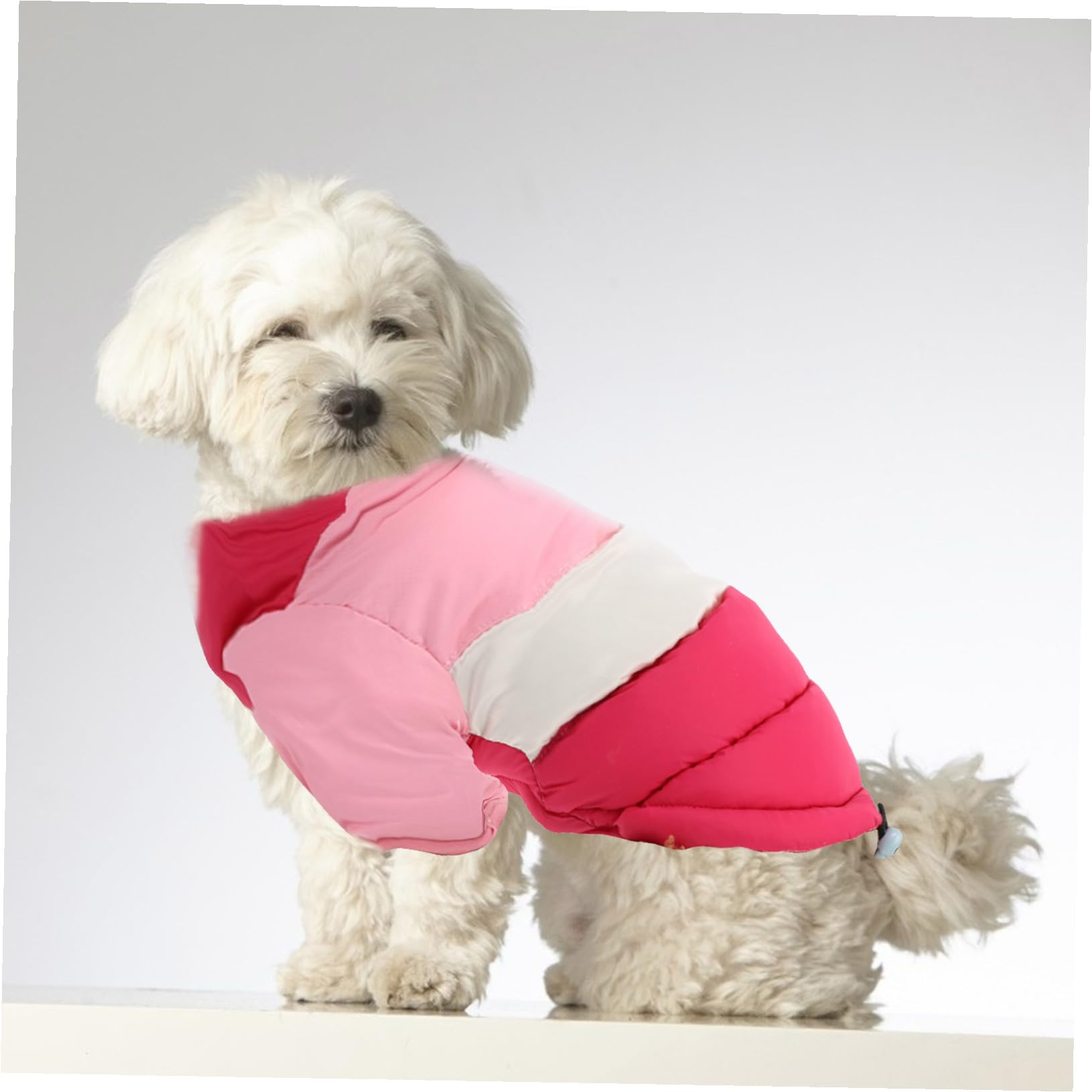 Manteau et Confortable Coton Chaud, D’Hiver pour Chien