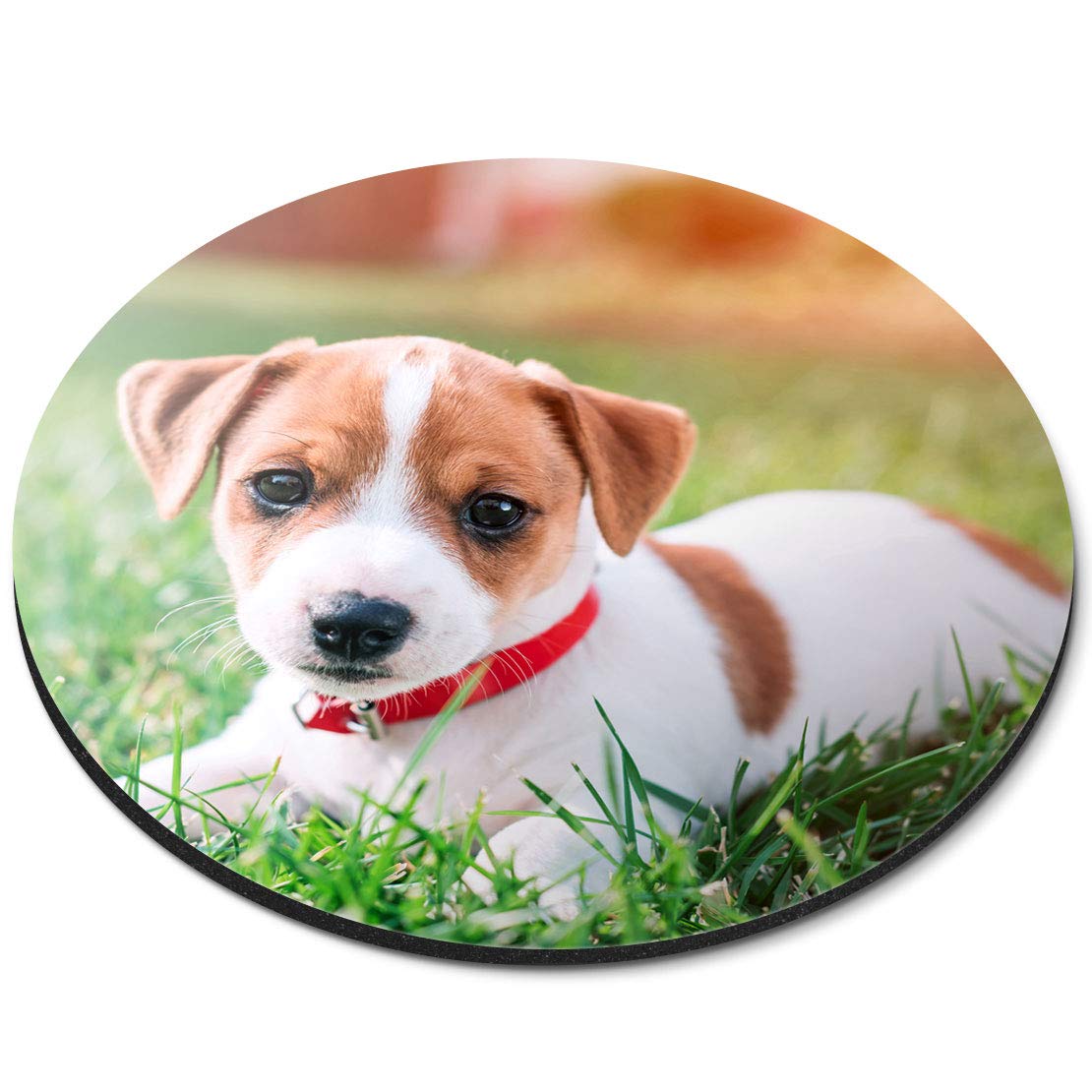 Jack Russell Terrier Puppy Dog - Flexible Round 5mm Rubber Mouse Mat Pad Office Home Novelty Printed Desk Accessory 15879