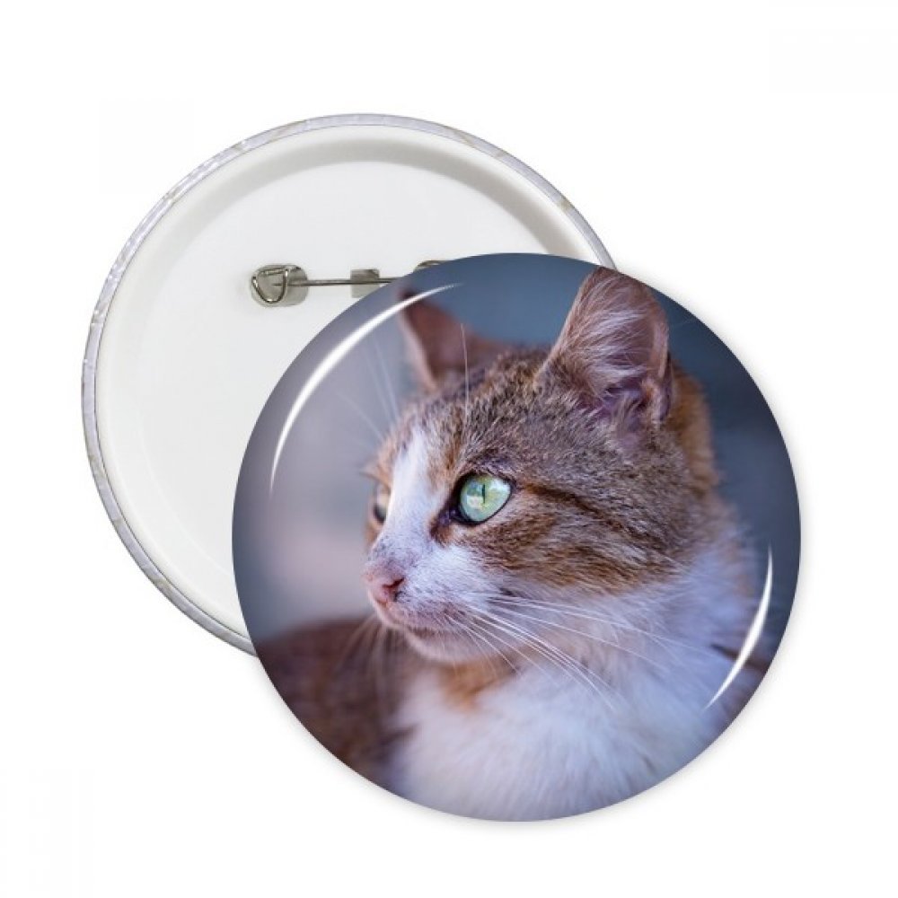 Chat profil badge marron solution customisation vetement terne 5pcs