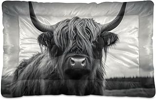 Kigai Highland Cow Dog Bed Machine Washable Pet Bed Mattress Comfortable Soft Pet Bed Mat Non-Slip Bottom Couch for Small Medium Dogs,36x24 Inch