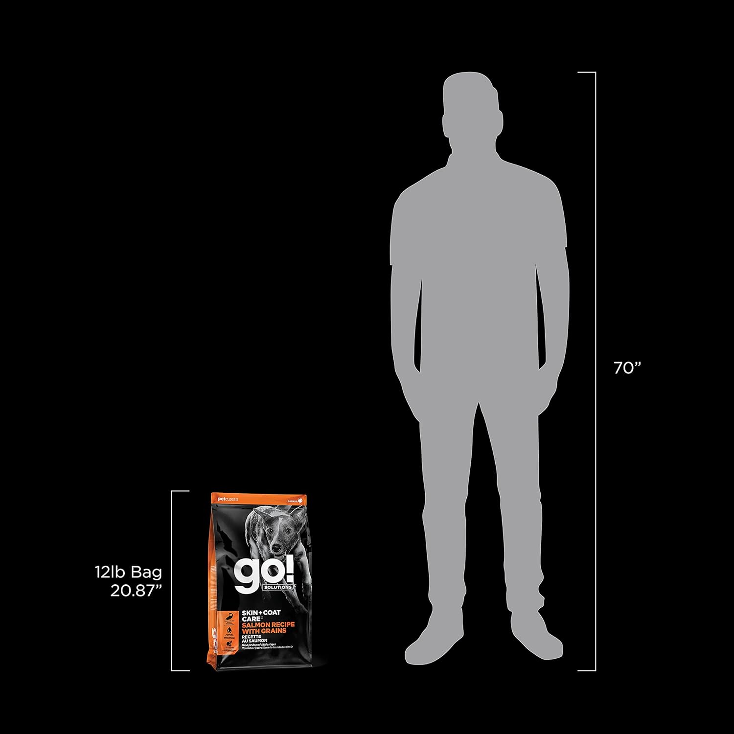 Go! Solutions Skin + Coat Care Salmon Dry Dog Food with Grains, Chicken-Free, Healthy Kibble with Omega-3s & 6s for Soft, Shiny Fur, for Puppies, Adults, & Seniors, 12 lb Bag - Image 11