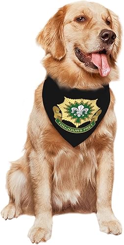 Miniatura 9 de Insignia USA Army 2nd Cavalry Regiment V2 - Bufanda para perro, bandana para mascotas, gatos, baberos para mascotas