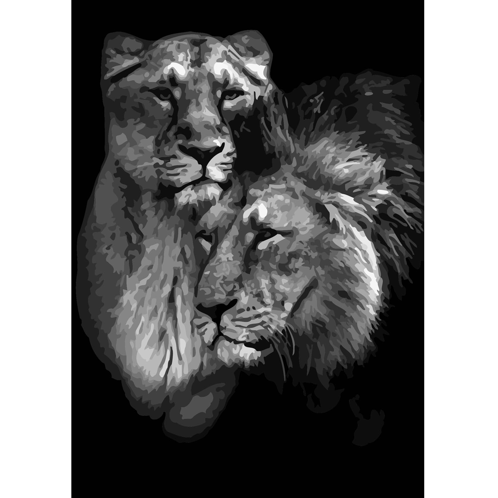YXBOMG Lion Black and White # 1 DIY Paint by Numbers for Adults Beginner, Adult Paint by Number Kits 16" x 20" / 40 x 50cm, Drawing Paintwork Paintbrushes Craft