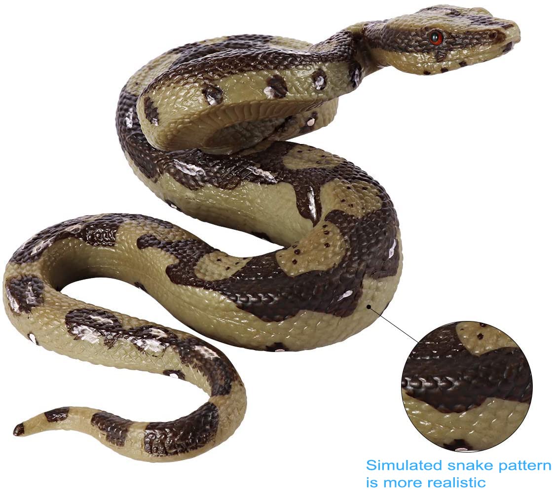 Amazon.com: BOTICAKO Realistic Fake Snake & Fake Spider, Prank