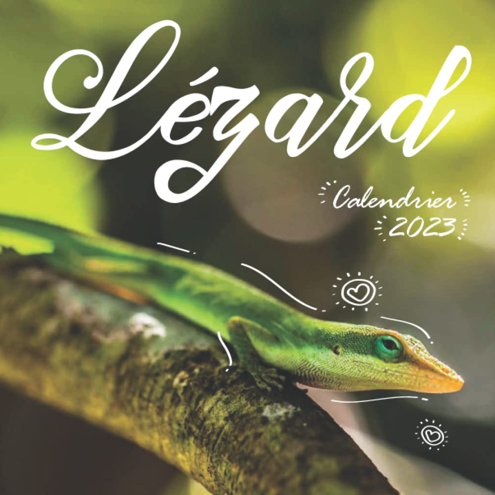 Lézard Calendrier 2023: Un accessoire pratique pour vous aider à planifier et suivre votre vie quotidienne (French Edition)