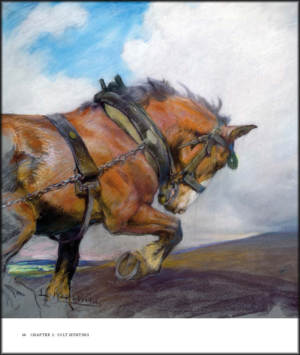 Lucy Kemp-Welch 1869-1958: The Life and Work of Lucy Kemp-welch, Painter of Horses