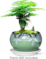 Vista 3 de Dahlia 5.5'' Inch Rustic Drip Glazed Ceramic Planter/Succulent Pot/Plant Pot w. Saucer/Tray, Green