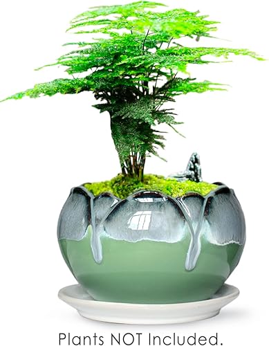 Miniatura 3 de Dahlia Macetero de cerámica esmaltada de goteo grande, poco profundoancho de 8.3 pulgadas, maceta para suculentas, color azul