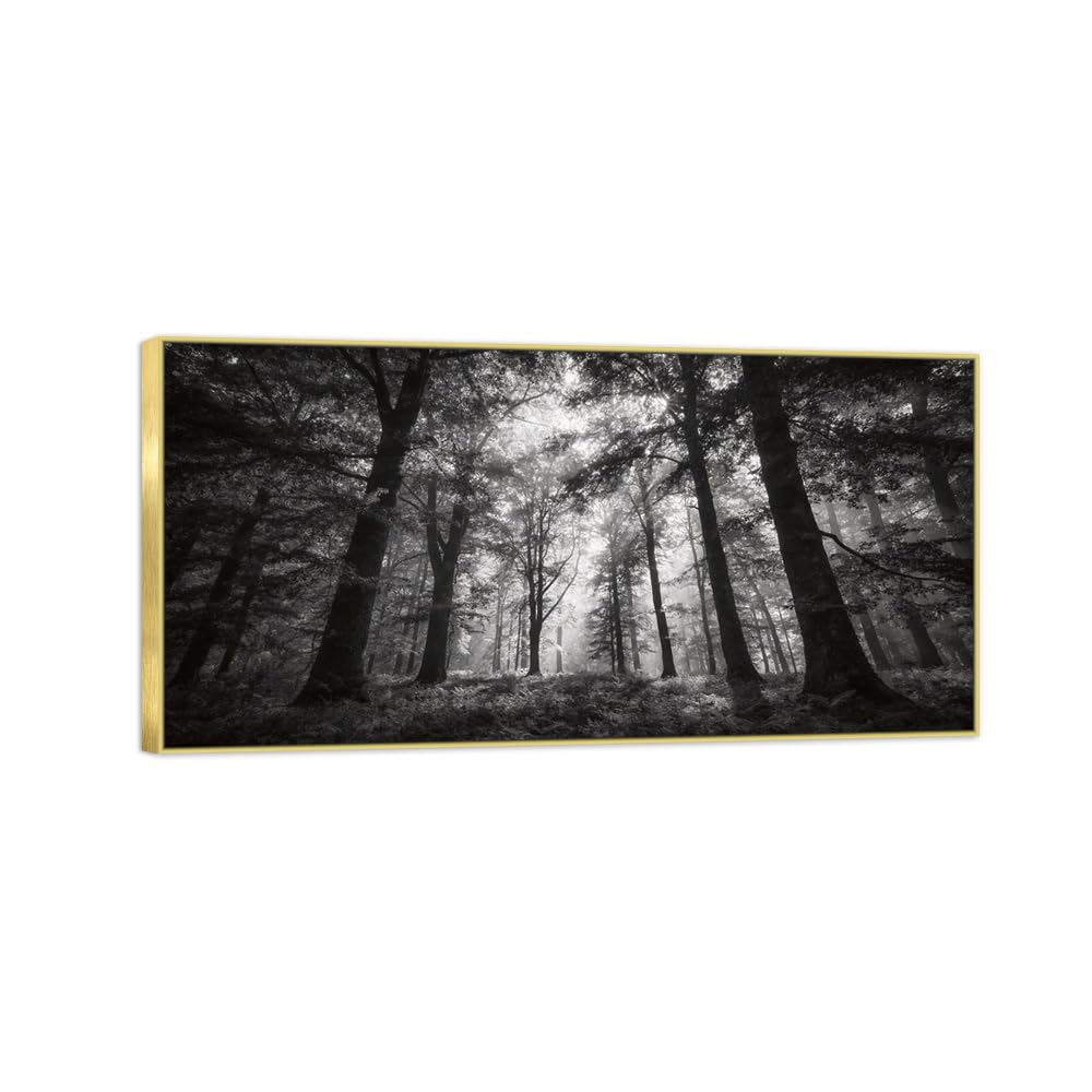 Forest Tree 2 Black White Landscape Canvas Picture 60x120cm Gold Frame