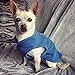 Gooby Every Day Fleece Cold Weather Dog Vest for Small Dogs, Blue, Large