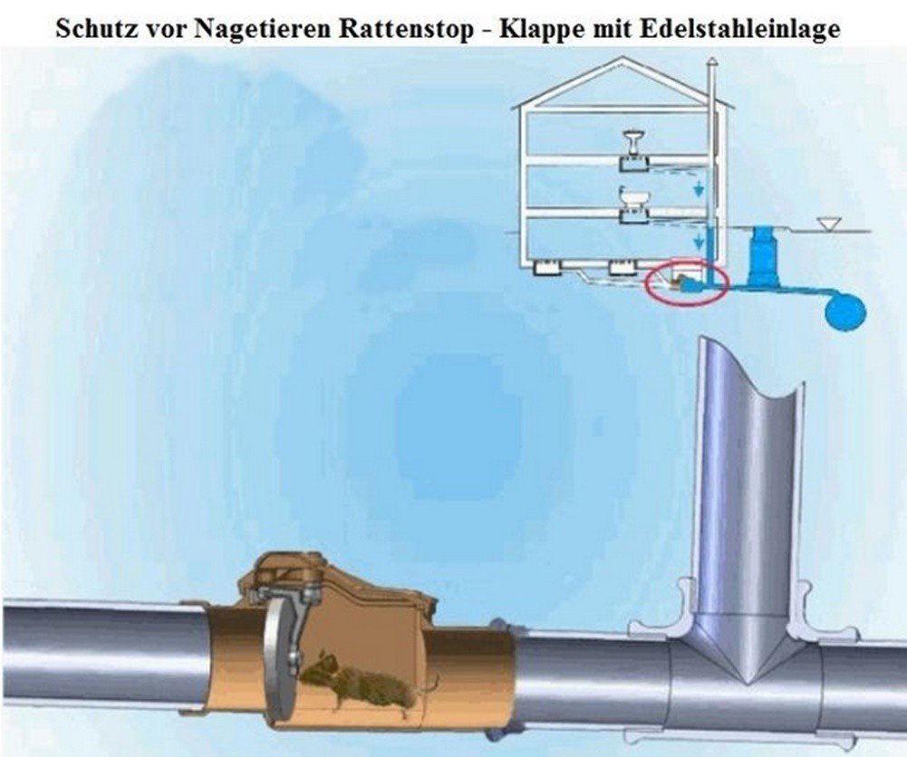 Capricorn Valvola antiriflusso - ø DN 110 con coperchio di corda alettaper coperchio