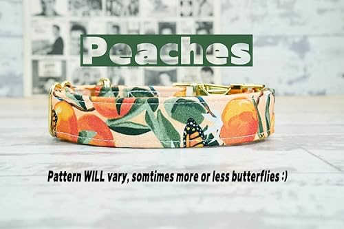 Peaches Dog Collar w/metal buckle or plastic, HAND MADE, Custom Engraved Personalized Collar, 1 inch wide, designer collars, made in USA!