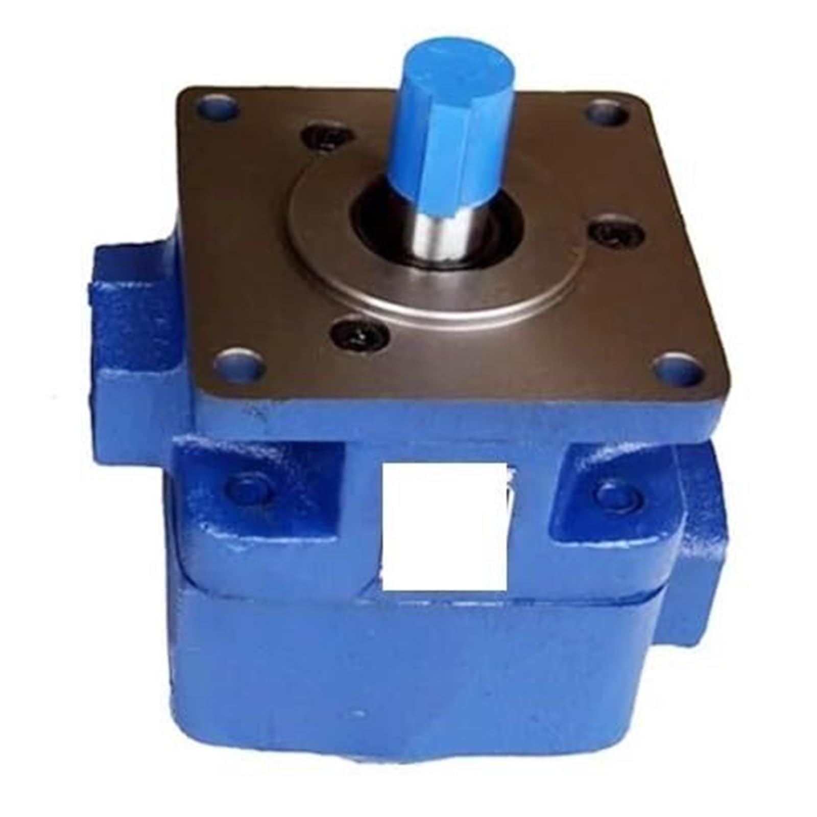 KXIWLUFV Hydraulic Gear Pump YB1-2.5 YB1-4 YB1-6.3 YB1-10 Pressure Double Vane Oil(YB1-2.5)