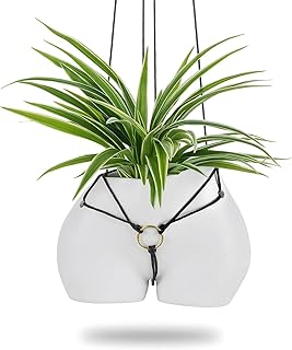 Funny Planter Gift for Plant Lovers: Cute Hanging Plant Pot for Outdoor ...