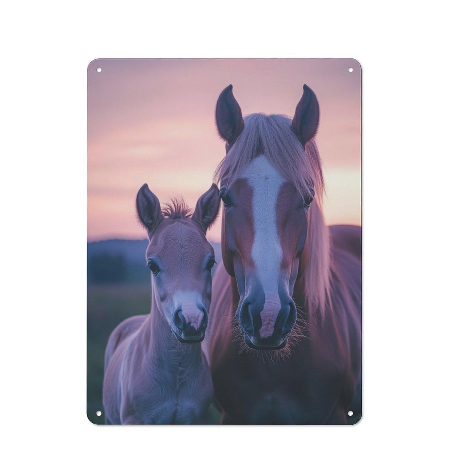 Junmoney Horse And Foal At Sunset Metal Wall Sign 40X30cm, Rustic Decor For Hallway Wall, For Metal Sign Collectors, For Garage And Workshop Walls
