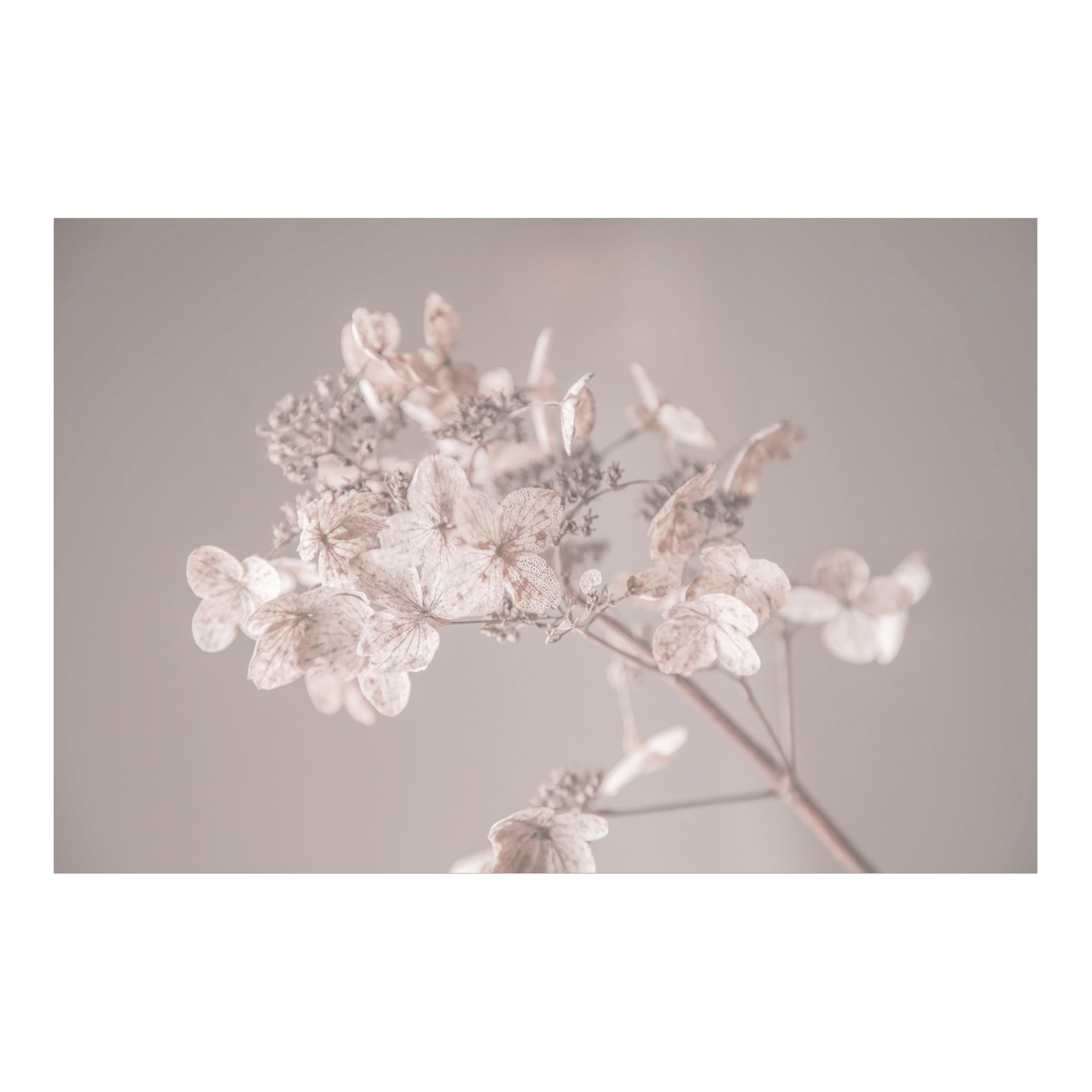 Papier peint panoramique résistant aux UV et inodore motif fleurs beige