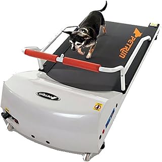 Dog Treadmill For Large Dogs Picks collage image 2