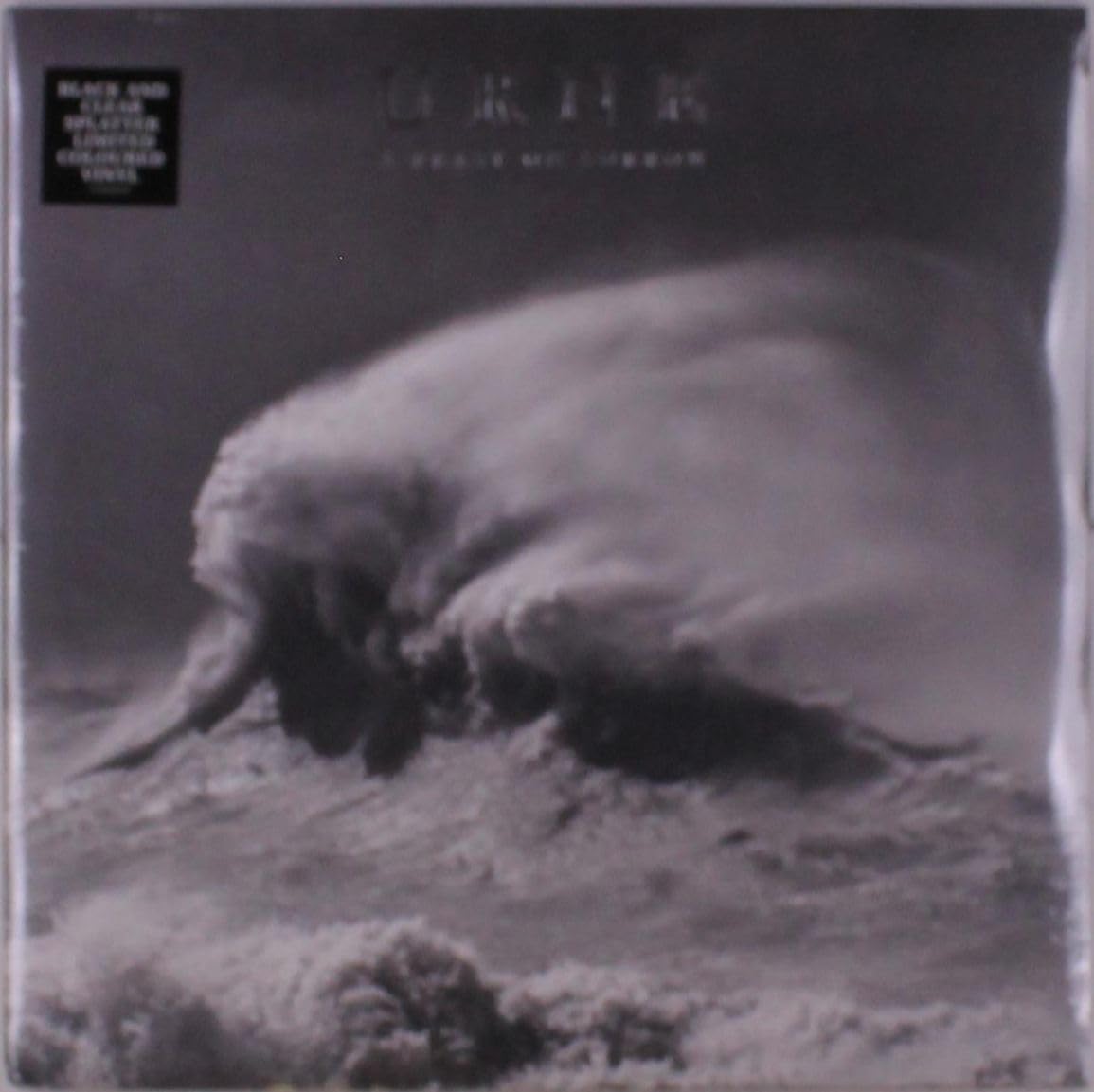 A Feast On Sorrow [VINYL]