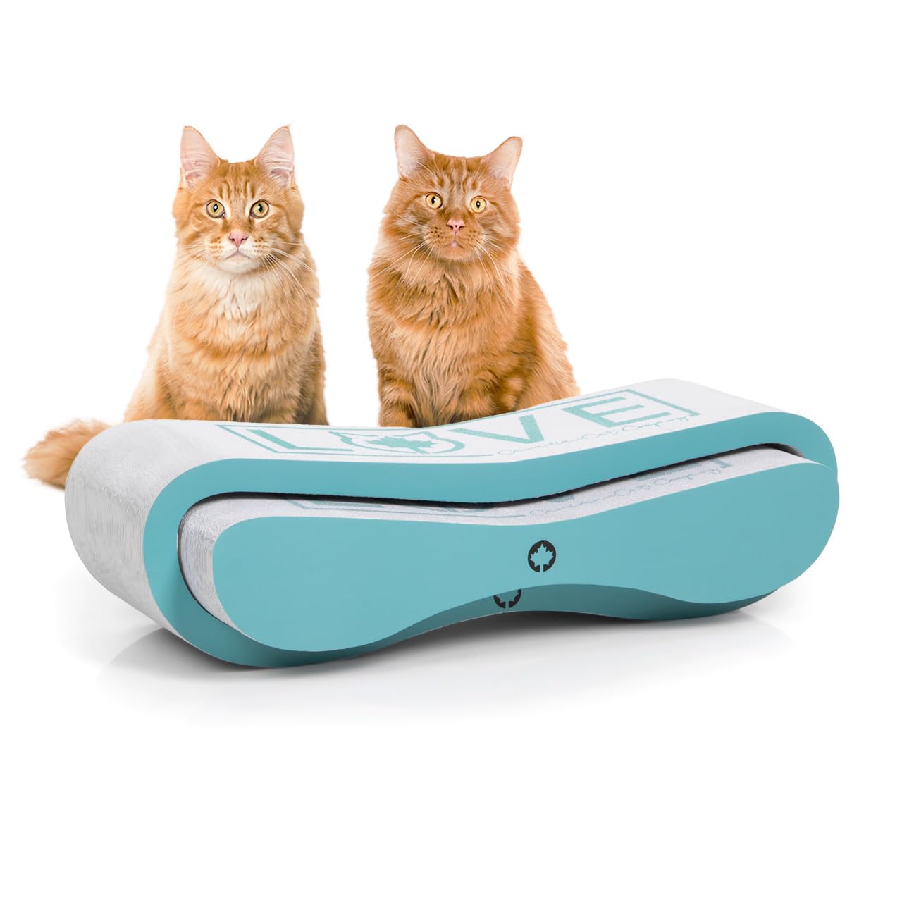 CanadianCat Company | Kratzbrett Kratzpappe MEGA SPARPACK XXL, Orbit und Sattelite 2.0 im Set, mit Katzenminze, Qualitäts-Pappe, türkis, 2 Kratzmöbel/Kratzbretter
