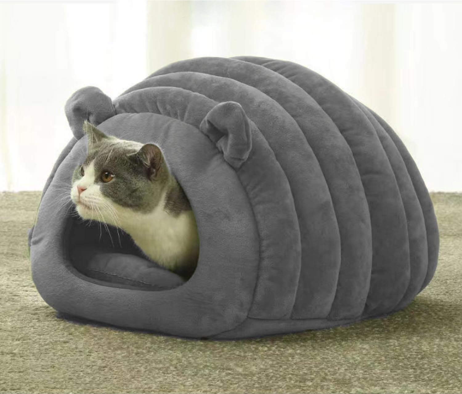 Morbida cuccia per animali domestici, divano 2 in 1, portatile, per gatti, cuccioli, sacco a pelo, tappeto pieghevole per animali domestici, a forma di caverna, a forma di ciabatta,