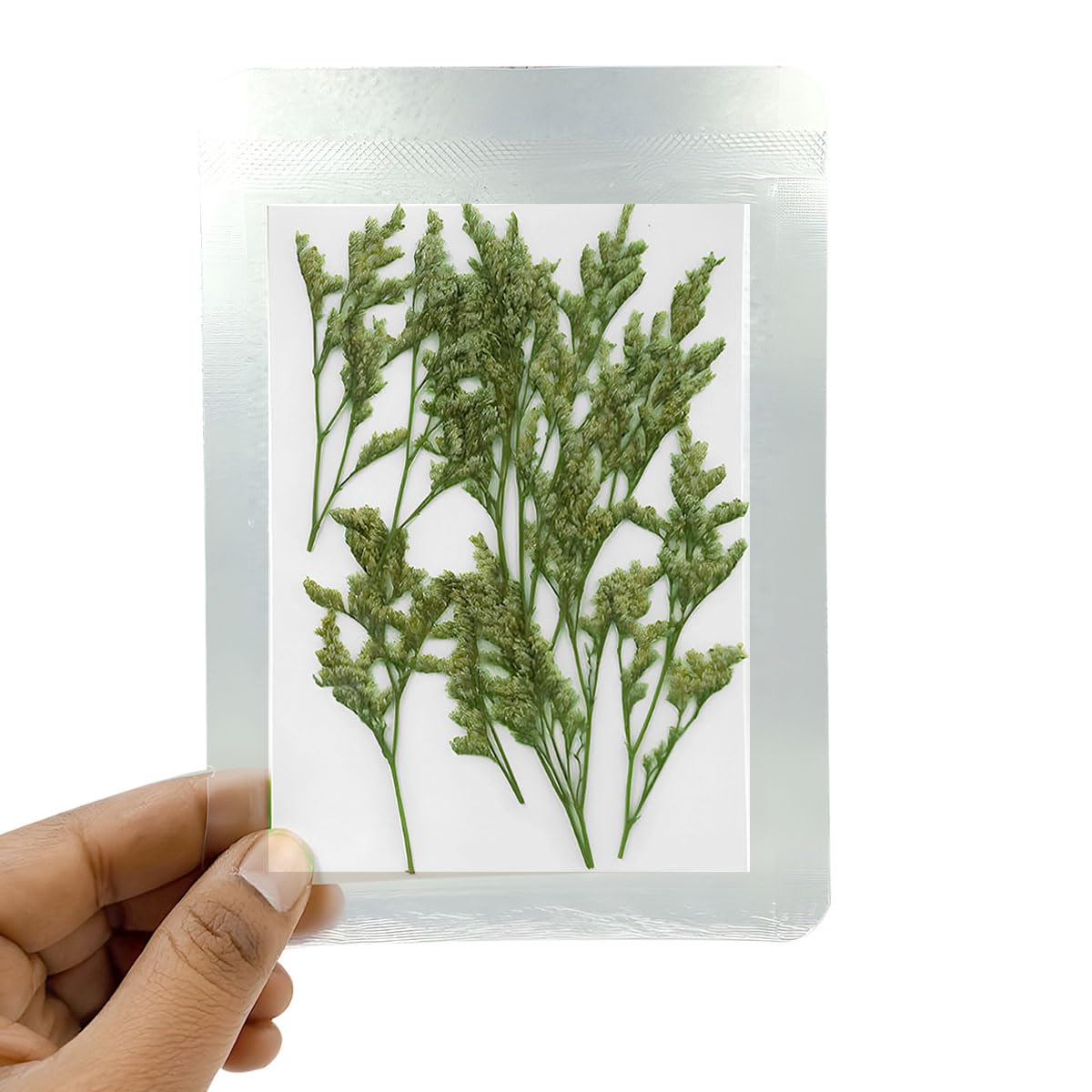 Natural Real Dried & Pressed Flowers for Art Craft - Mixed, Multicolor for Soap, Candle, Scrapbooking, DIY, Resin Jewelry, Pendant - [Lover Grass-Green]-image-22