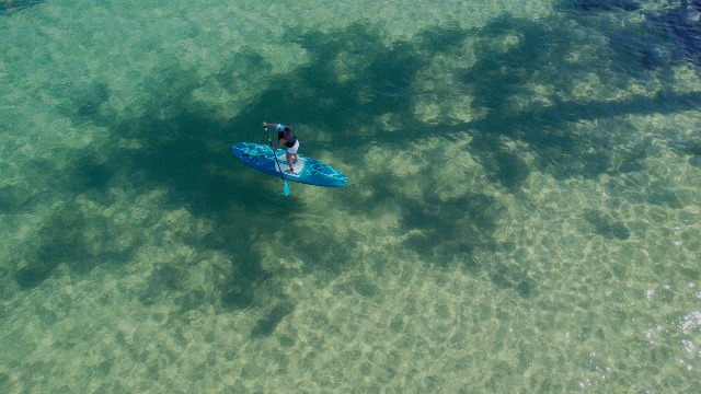 Amazon.com: Wavestorm: SUP