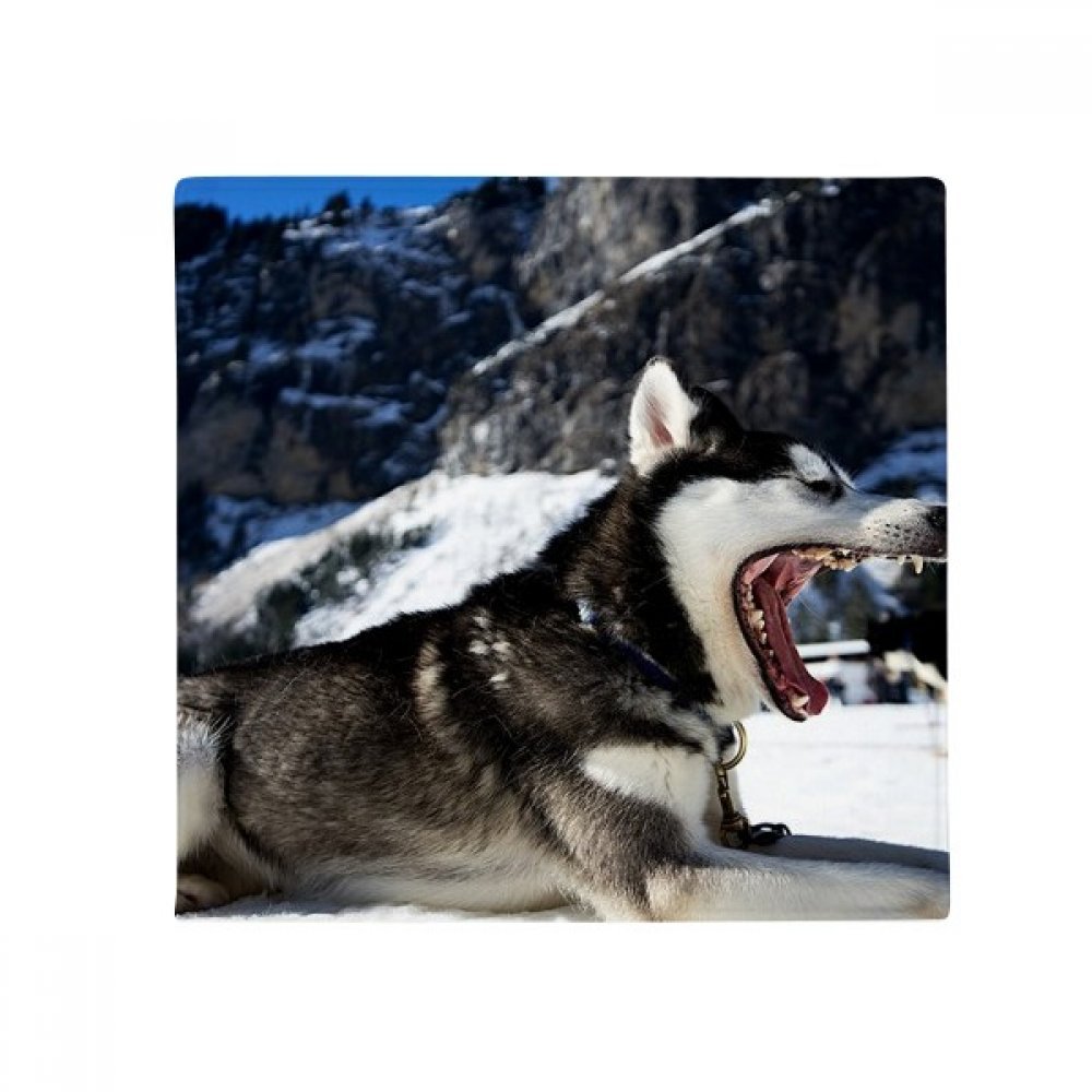Tapis antidérapant husky imperméable de cuisine et salle de bain 60cm