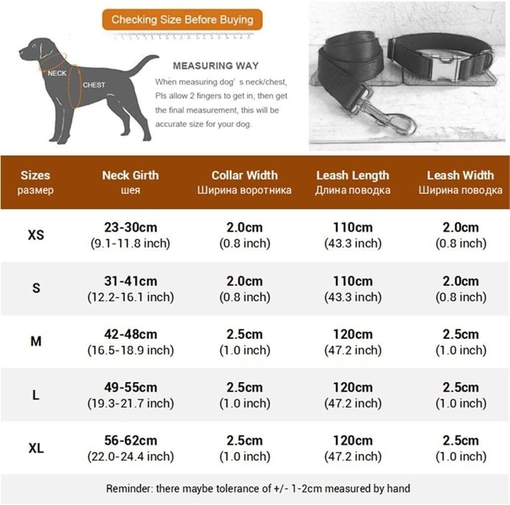 Correa Perro Correr Traje Pajarita Collar De Perro Grabado Personalizado Collares Nylon para Niña Niño Perros Correa Ajustable Antideslizantes Reforzada(31-41cm)