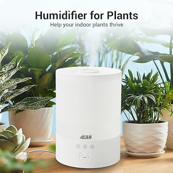 iCan 2.5L Home Desktop Humidifier with Wifi/Touch Control, RGB Light, Shaped Ring Design, Easy to Clean, White.