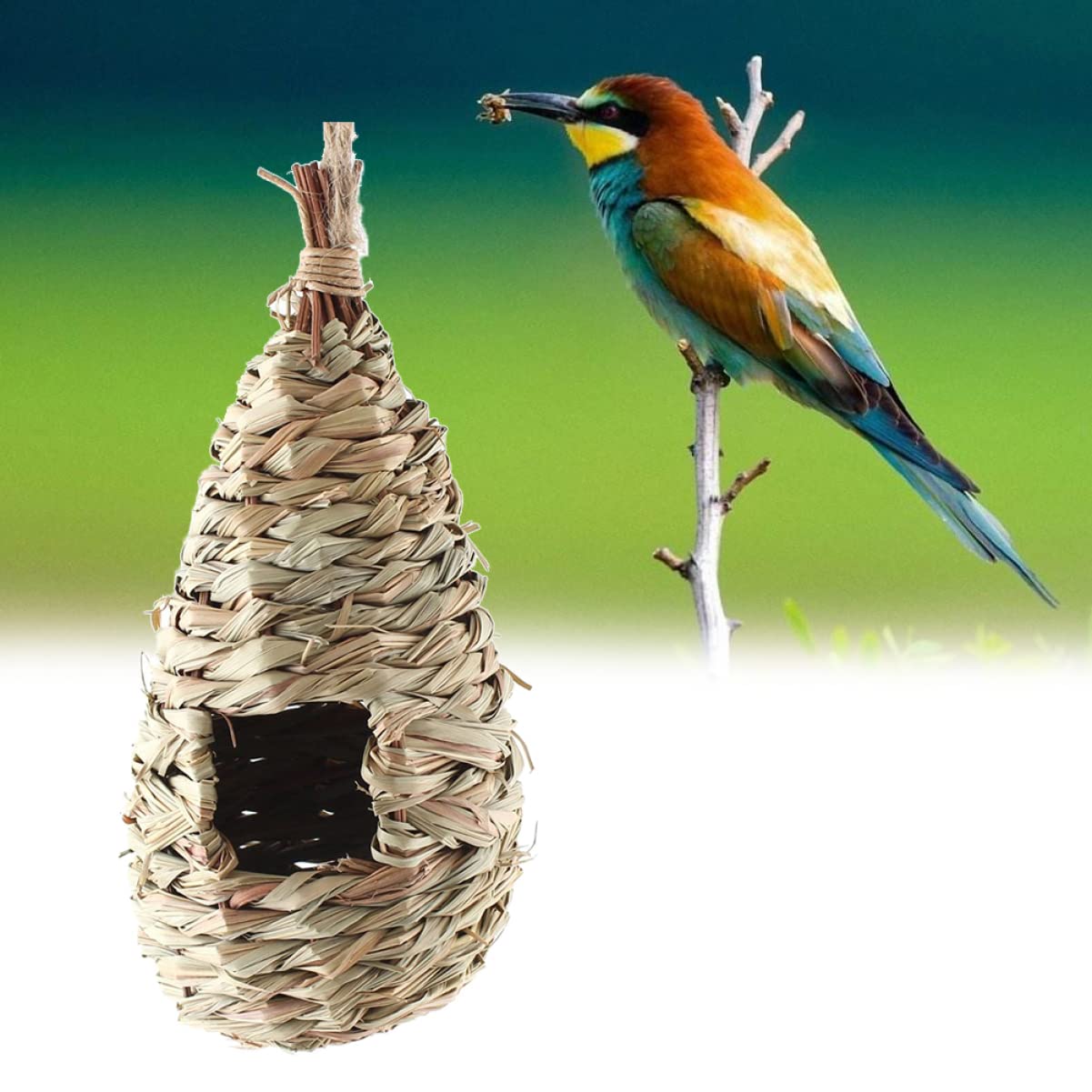 VANZACK 6 Piezas Nido De Cría De Pájaros Casa De Pájaros Colgante Nidos De Pájaros para Manualidades Nido De Pájaros Al Aire Libre Cabaña De Pájaros Colgante Casas De Pájaros para