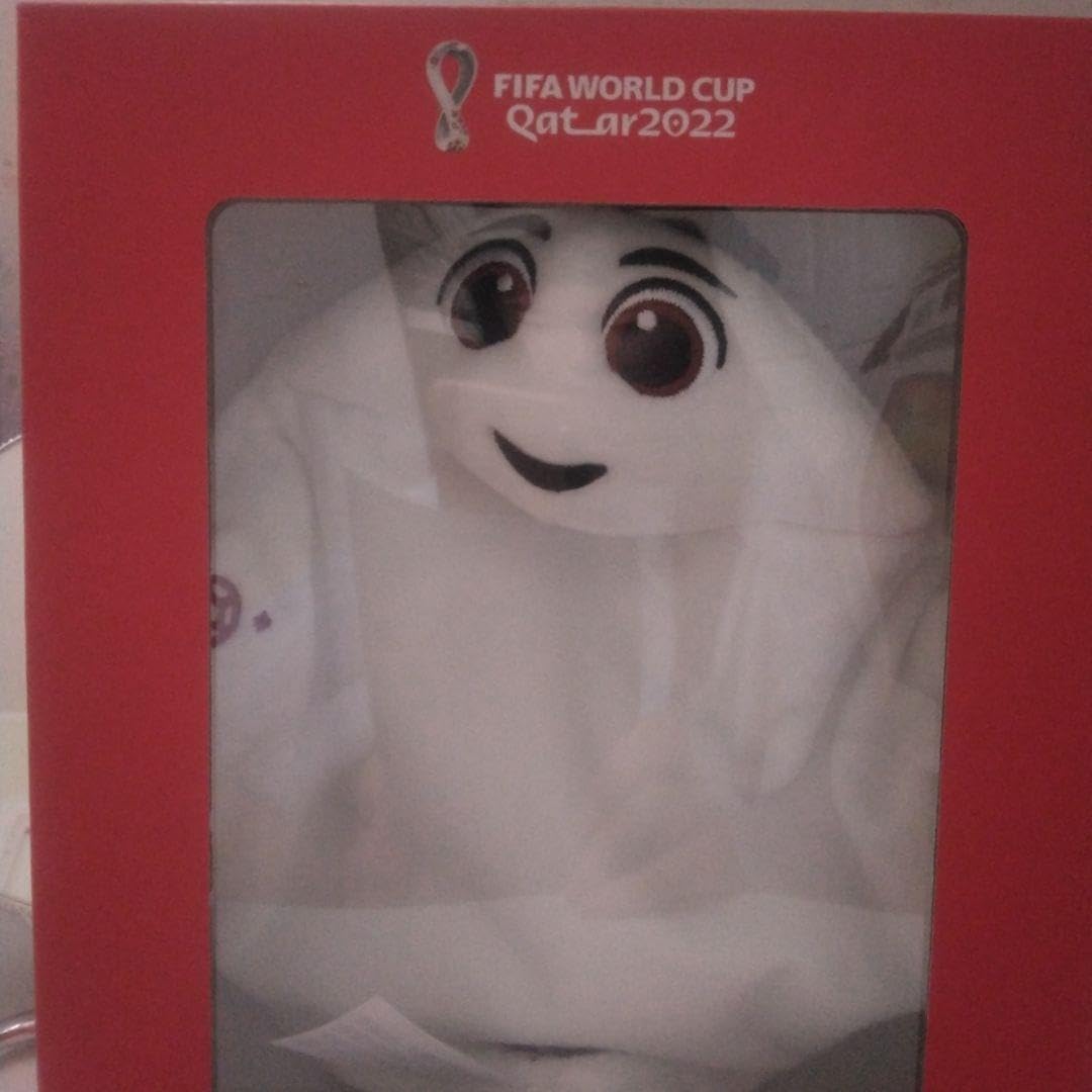 ライーブ(サッカーワールドカップ) カタールワールドカップ2022